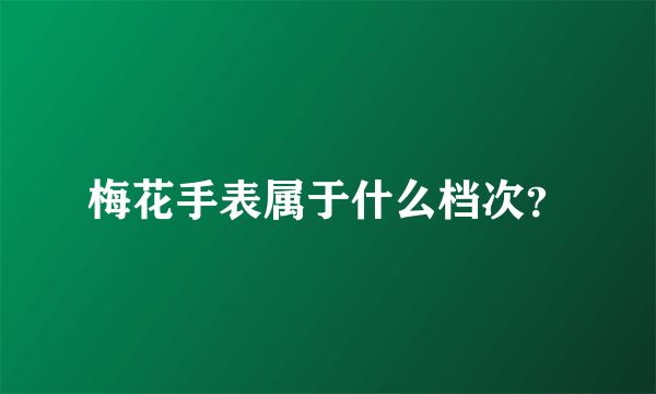 梅花手表属于什么档次？