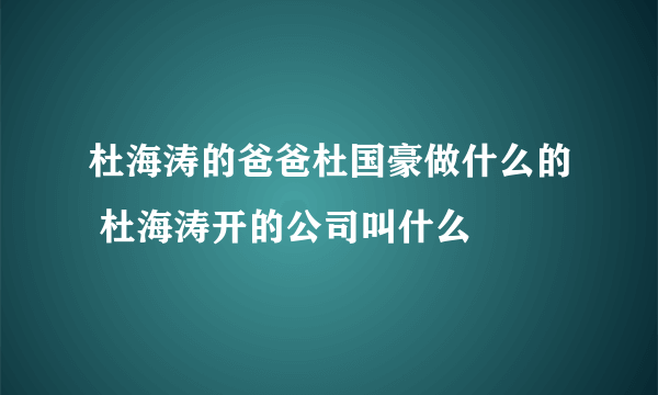 杜海涛的爸爸杜国豪做什么的 杜海涛开的公司叫什么