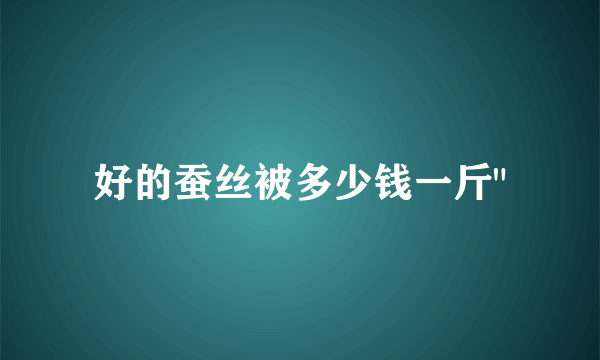 好的蚕丝被多少钱一斤