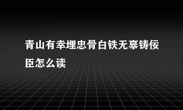 青山有幸埋忠骨白铁无辜铸佞臣怎么读