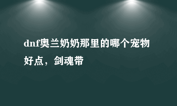 dnf奥兰奶奶那里的哪个宠物好点，剑魂带