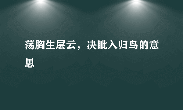 荡胸生层云，决眦入归鸟的意思