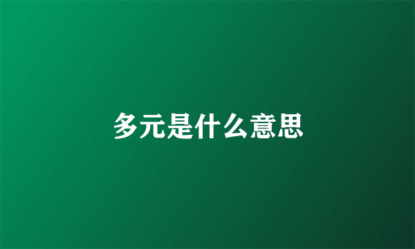 多元是什么意思