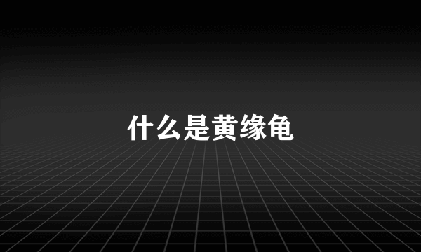 什么是黄缘龟