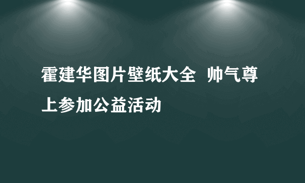 霍建华图片壁纸大全  帅气尊上参加公益活动