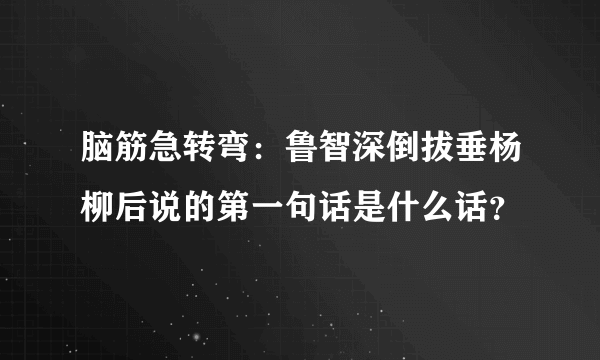 脑筋急转弯：鲁智深倒拔垂杨柳后说的第一句话是什么话？