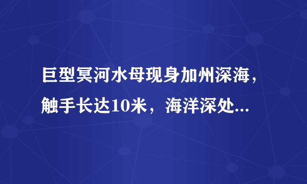 巨型冥河水母现身加州深海，触手长达10米，海洋深处究竟多恐怖？