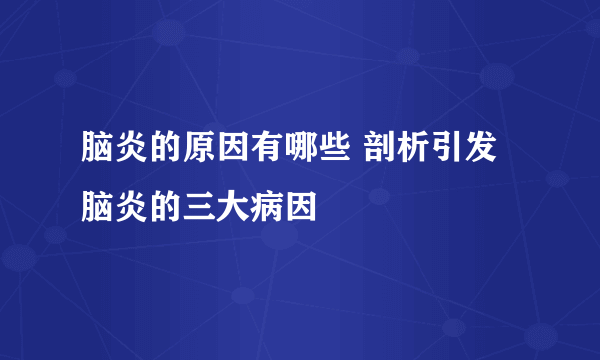 脑炎的原因有哪些 剖析引发脑炎的三大病因