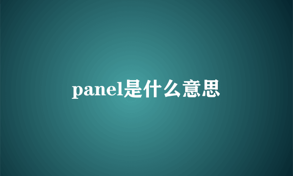 panel是什么意思