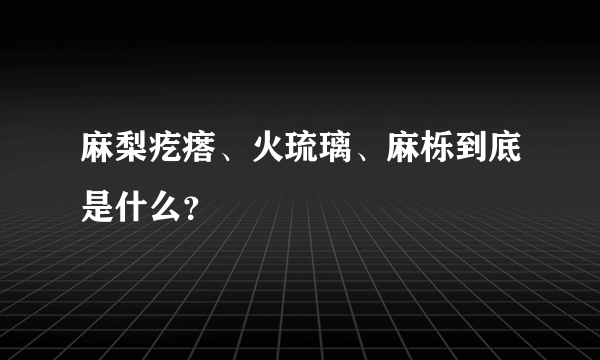 麻梨疙瘩、火琉璃、麻栎到底是什么？