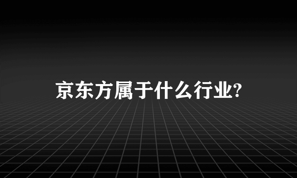 京东方属于什么行业?