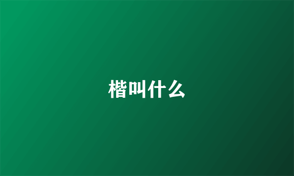 楷叫什么