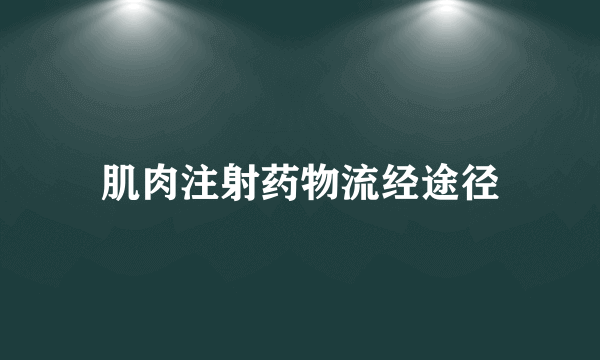 肌肉注射药物流经途径