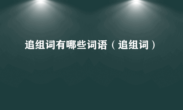 追组词有哪些词语（追组词）