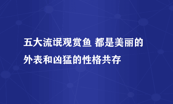 五大流氓观赏鱼 都是美丽的外表和凶猛的性格共存