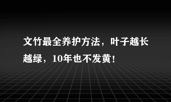 文竹最全养护方法，叶子越长越绿，10年也不发黄！