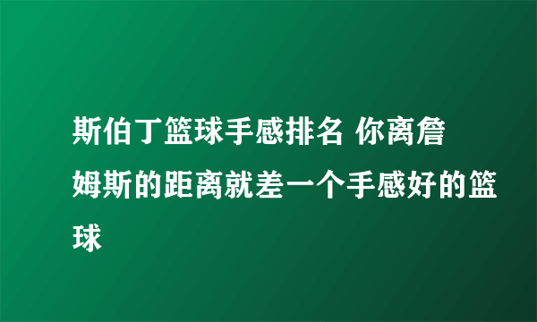 斯伯丁篮球手感排名 你离詹姆斯的距离就差一个手感好的篮球