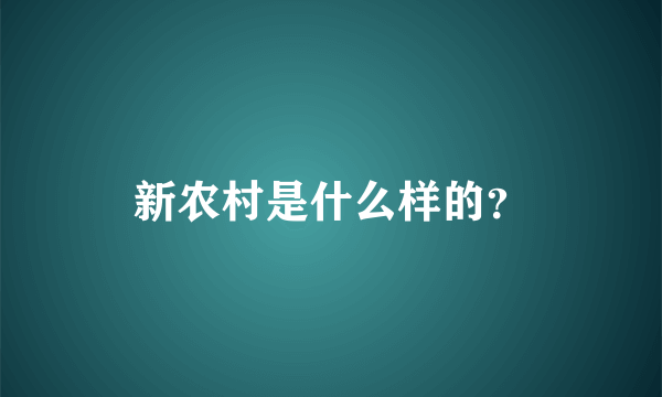 新农村是什么样的？