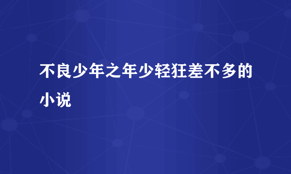 不良少年之年少轻狂差不多的小说