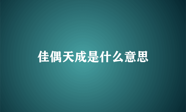 佳偶天成是什么意思