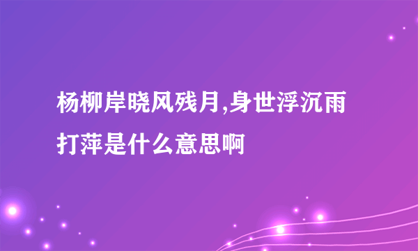 杨柳岸晓风残月,身世浮沉雨打萍是什么意思啊