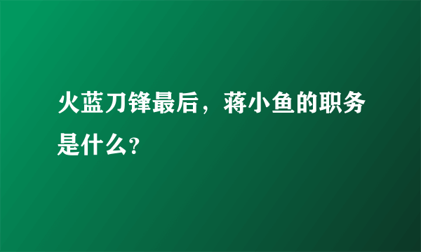 火蓝刀锋最后，蒋小鱼的职务是什么？