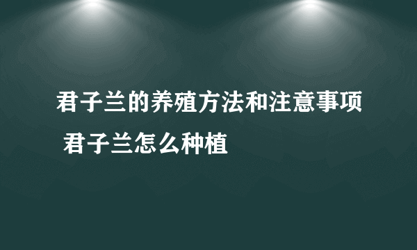 君子兰的养殖方法和注意事项 君子兰怎么种植