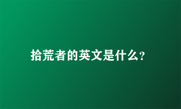 拾荒者的英文是什么？