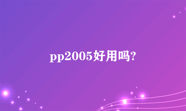 pp2005好用吗?