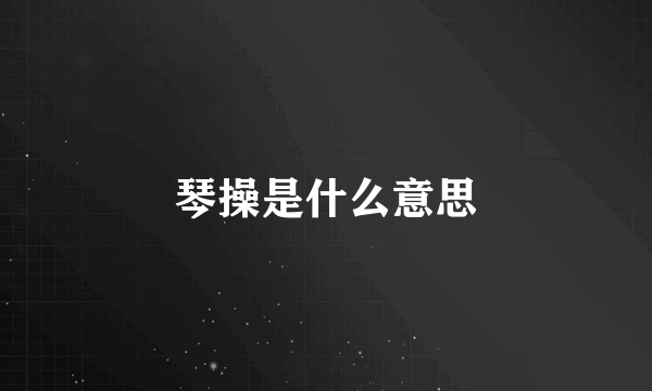 琴操是什么意思