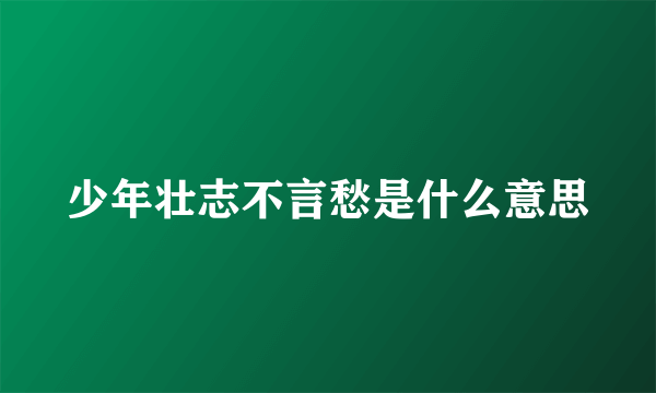 少年壮志不言愁是什么意思