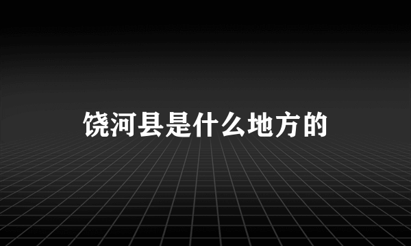 饶河县是什么地方的