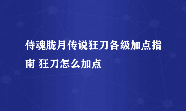 侍魂胧月传说狂刀各级加点指南 狂刀怎么加点