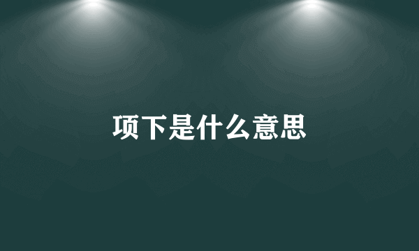 项下是什么意思