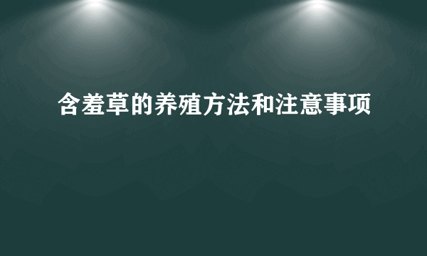 含羞草的养殖方法和注意事项