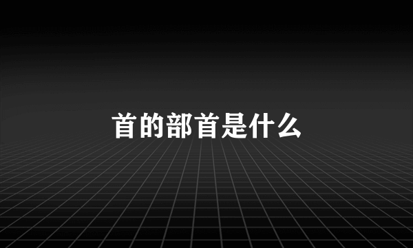 首的部首是什么