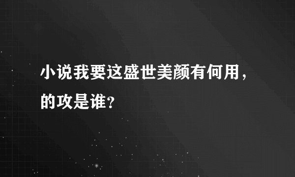 小说我要这盛世美颜有何用，的攻是谁？