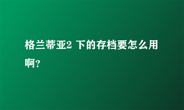 格兰蒂亚2 下的存档要怎么用啊？