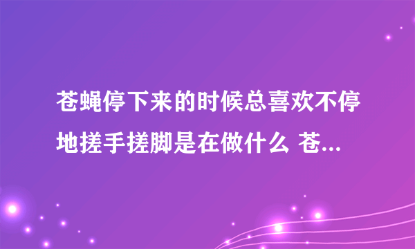 苍蝇停下来的时候总喜欢不停地搓手搓脚是在做什么 苍蝇停下来搓手是在搞卫生