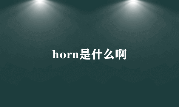 horn是什么啊