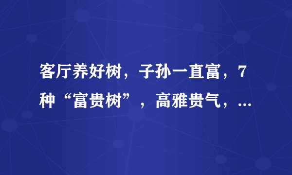 客厅养好树，子孙一直富，7种“富贵树”，高雅贵气，旺家旺后代