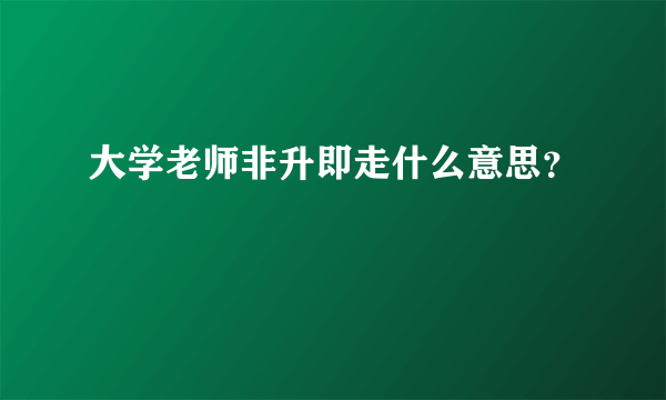 大学老师非升即走什么意思？