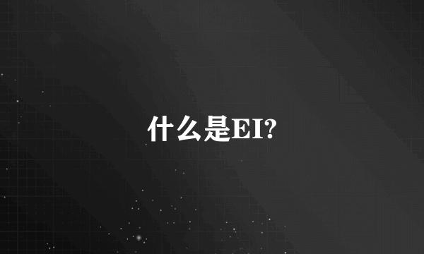 什么是EI?