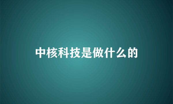 中核科技是做什么的