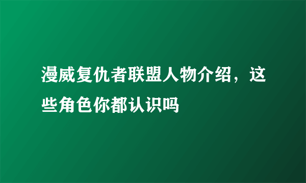 漫威复仇者联盟人物介绍，这些角色你都认识吗