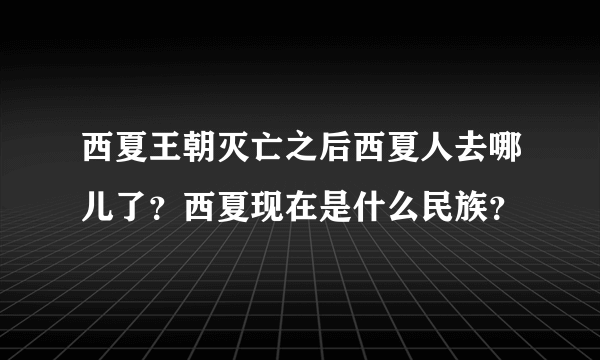 西夏王朝灭亡之后西夏人去哪儿了？西夏现在是什么民族？