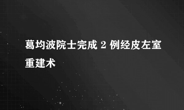 葛均波院士完成 2 例经皮左室重建术 