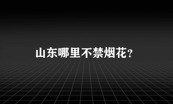 山东哪里不禁烟花？