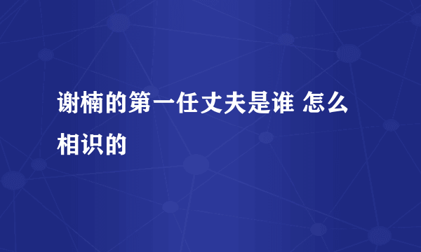 谢楠的第一任丈夫是谁 怎么相识的