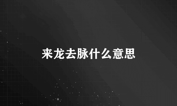 来龙去脉什么意思